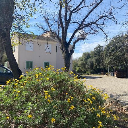 U Farniente Otel Patrimonio Dış mekan fotoğraf